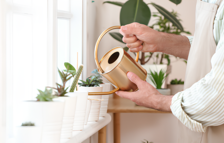 Bitkilərinin suvarılması